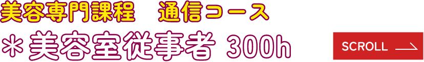 美容専門課程　通信コース　＊美容室従業者 300h